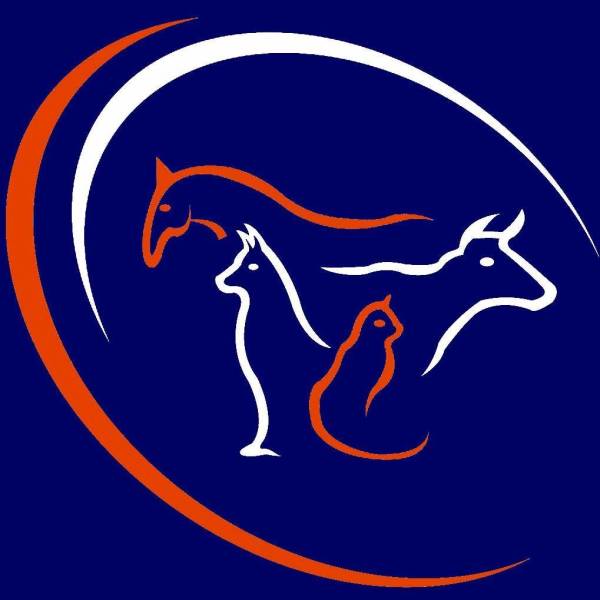 Clinique vétérinaire pour effectuer des opérations d'urgences sur animaux de compagnie à Yerville, Doudeville et Sainte Marie de Champs VET'CO