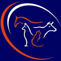 Clinique vétérinaire pour effectuer des opérations d'urgences sur animaux de compagnie à Yerville, Doudeville et Sainte Marie de Champs VET'CO