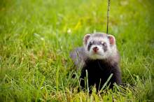 Nos prestations sur le secteur de Gestion de patrimoine à Rouen (76)